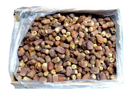 تمور الشيخ نص جاف بالكيلو